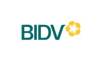 Ngân Hàng Đầu Tư Và Phát Triển Việt Nam (Bidv)